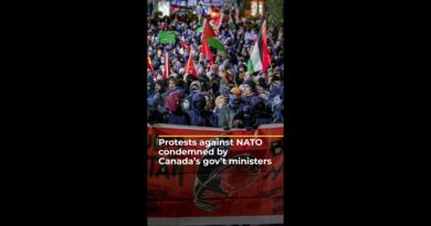 Canada’s gov’t condemns protests against NATO’s ‘complicity’ with Israel | AJ#shorts