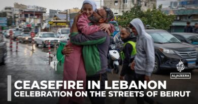 Ceasefire holding in Lebanon: Celebration on the streets of Beirut