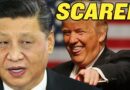 China Is FREAKING OUT After US Election