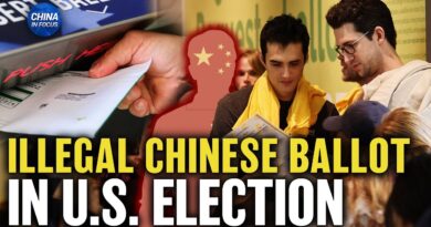 Chinese Citizen Allegedly Casts Ballot in US Election; Temu to Be Investigated by EU |China in Focus