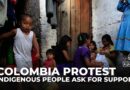 Colombia protest: Indigenous people arrive in Bogota to ask for support