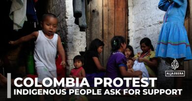 Colombia protest: Indigenous people arrive in Bogota to ask for support