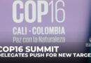 Cop16 biodiversity summit: Delegates push for new targets