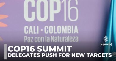 Cop16 biodiversity summit: Delegates push for new targets