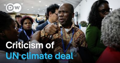 Developing nations slam COP29 $300bn climate deal | DW News