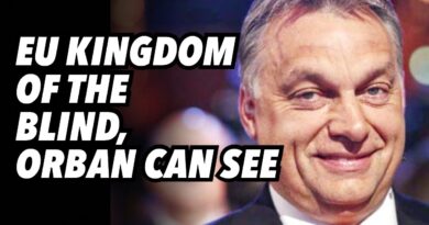 EU Kingdom of the Blind, Orban can see