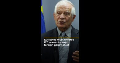 EU member states must enact ICC arrest warrants, says foreign policy chief