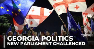 Georgia’s new parliament is challenged: The legality of election has been appealed