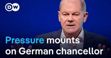 German coalition collapse: Opposition leader calls for swift confidence vote | DW News