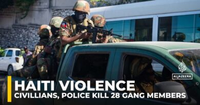 Haitian authorities say 28 alleged gang members killed by police, residents