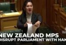 Haka pauses parliament: New Zealand’s founding document at centre of protests