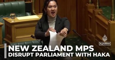 Haka pauses parliament: New Zealand’s founding document at centre of protests