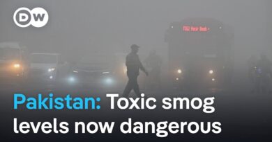 Health emergency declared over toxic smog in Pakistan and India | DW News