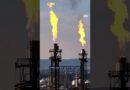 How Big Oil lobbies keep the fossil fuel industry booming | DW News