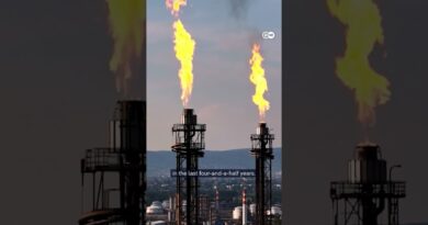 How Big Oil lobbies keep the fossil fuel industry booming | DW News