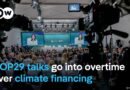 How is the price of dealing with global warming? | DW News