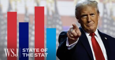 How This Core Voter Group Delivered Trump the 2024 Election | WSJ State of the Stat