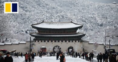 Hundreds of flights grounded as record-breaking November snow hits South Korea