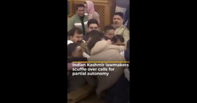 Indian Kashmir lawmakers scuffle over calls for partial autonomy | AJ #shorts