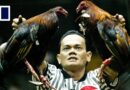 Inside a Philippine cockfighting pit, as post-pandemic changes threaten livelihoods