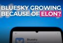 Is Elon Musk’s Politics Pushing People to Join Bluesky?