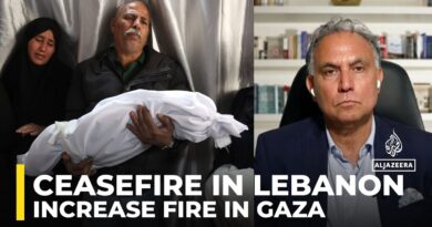 Israel agreed to a ceasefire in Lebanon in order to increase fire in Gaza: Marwan Bishara