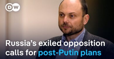 Kara-Murza: ‘What happens in Russia affects the whole of the international community’ | DW News