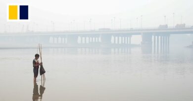 Lahore limits outdoor activities as Pakistan struggles with air quality crisis