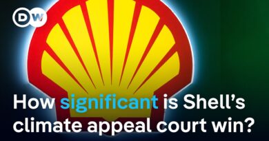 Legal victory for oil giant Shell: What does it mean for the environment?