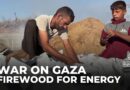 Life without power: Palestinians in Gaza turning to firewood for energy