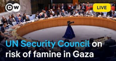 LIVE: UN Security Council to discuss  the risk of famine in Gaza | DW News