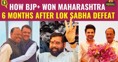 Maharashtra Election Results | How BJP Won Massively 6 Months After Lok Sabha Defeat: 6 Reasons