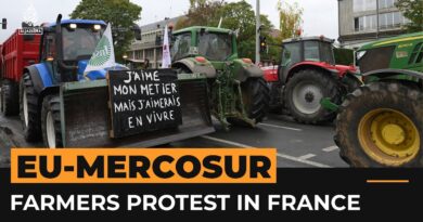 Manure, tractors and anger: Farmers in France protest EU-Mercosur deal | #AJshorts