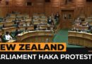 Maori politicians disrupt New Zealand parliament vote with haka | AJ#shorts