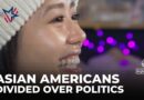 Minority voters in battleground states: Asian Americans in Georgia divided over politics