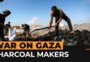 Palestinians turn wood into charcoal for livelihood | Al Jazeera Newsfeed