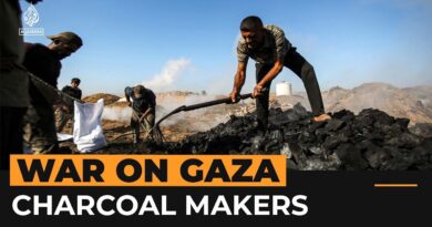 Palestinians turn wood into charcoal for livelihood | Al Jazeera Newsfeed