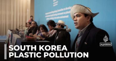 Plastic pollution crisis: Delegates meet in Busan to secure agreement