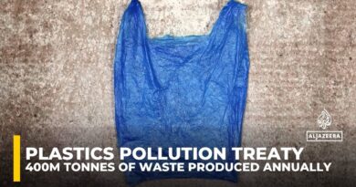 Plastics pollution treaty: 400 million tonnes of waste produced annually