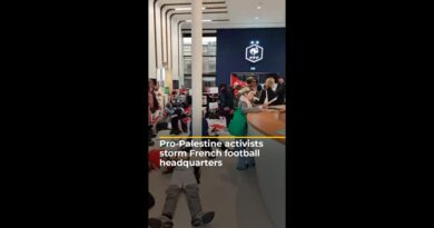 Pro-Palestine activists storm French football headquarters | AJ #shorts