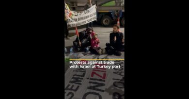 Protests against trade with Israel at Turkey port | AJ #shorts