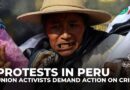 Protests in Peru: Union activists demand government action on crime