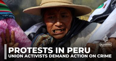 Protests in Peru: Union activists demand government action on crime