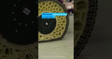 Reinventing the wheel | DW News