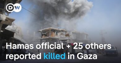 Reports: Israeli airstrikes in Gaza kill 25 people and senior Hamas official | DW News