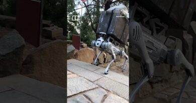 Robot dog takes over tough tasks on Mount Tai #shorts