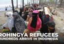 Rohingya refugees: Hundreds have arrived in Indonesia in recent weeks