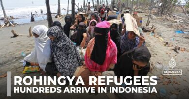 Rohingya refugees: Hundreds have arrived in Indonesia in recent weeks