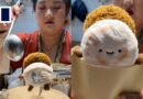 Roujiamo stuffed toys ‘cooked’ in front of customers, sparking shopping frenzy