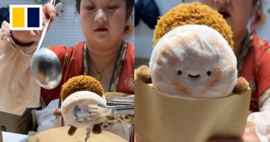 Roujiamo stuffed toys ‘cooked’ in front of customers, sparking shopping frenzy